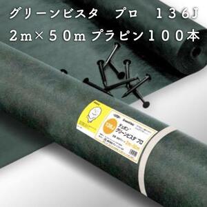 グリーンビスタ プロ 防草・砂利下シート136グリーン 強力タイプ 2ｍ×50m（プラピン100本付）除草シート