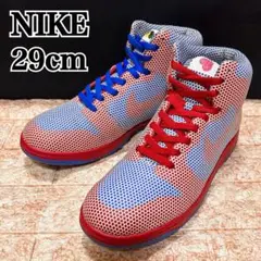 【希少】NIKE DUNK HIGH 1 PIECE PREMIUM 29cm