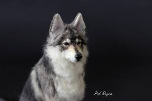 Pal Rozen　サーロス・ウルフホンド　ウルフドッグ　狼犬　羊毛フェルト　ハンドメイド　アートドール