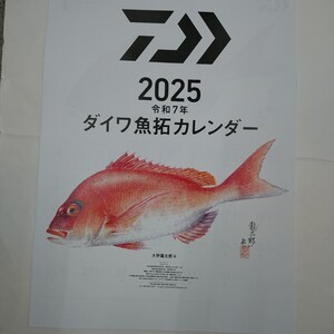 新品 DAIWA ダイワ ２０２５年 カレンダー 店名無記入 令和７年 魚拓カレンダー 大野龍太郎 定形外送料660円