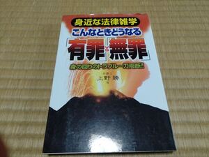 こんなときどうなる「有罪」vs「無罪」 上野 勝