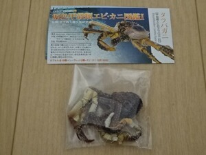 原色甲殻類エビ・カニ図鑑Ⅰ タラバガニ ユージン ガシャポン YUJIN 原色図鑑シリーズ フィギュア 鱈場蟹 カニ かに ヤドカリ 宿借 寄居虫