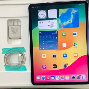 爆速発送 iPad Pro 11インチ 第4世代 256GB AU版SIMフリー バッテリー89％ ジャンク品