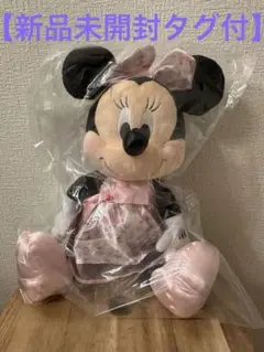 お値下げ↓可愛い❤️Disney ミニー花柄ワンピース　ぬいぐるみ【新品未開封】