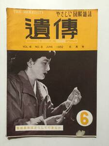 やさしい図解雑誌「遺傳」1952年(昭和27年)6月号●養殖真珠はどうしてできるか/赤ん坊の血液いれかえ/珍しい雄の三毛猫 [管A-53]