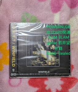 WINFIELD ジャパメタ POWERNUDE BLIZARD SLIMSLAM ギター　若井望　在籍　　RARE　送料無料