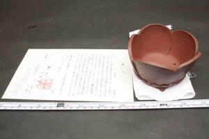 4100 明治26年 珍品 貴重品 杰作 径11 瑞宝章 渡辺敬深 萬留平 有趣陶苑 栞 朱泥 桃花泥 花型 花弁 蓮 苔鉢 豆鉢 ミニ盆栽鉢 鳥足