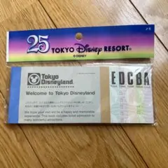 ディズニー 25周年 チケット風メモ帳 ディズニーリゾート ディズニーランド