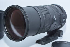 241324★極上★SIGMA 超望遠ズームレンズ APO 150-500mm F5-6.3 DG OS HSM ペンタックス用 フルサイズ対応 927226