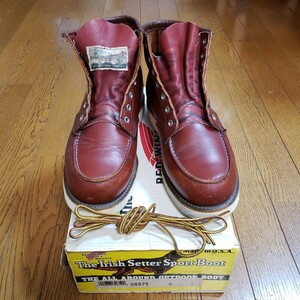 元箱付き　表四角犬タグ RED WING 8875 アイリッシュセッター オロラセット　赤茶　レッドウイング　875　