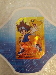 DIGIMON ADVENTURE　デジモンアドベンチャー　デジモン　八神太一　アグモン　特典カード　　海外限定