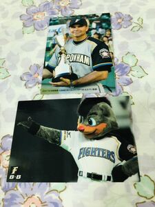 カルビープロ野球チップスカード セット売り 北海道日本ハムファイターズ メモリアル