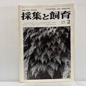 採集と飼育 1976年2月号★シノブの着生/北部九州沿岸の漂着物/陸産貝類目録/ゴキブリの教材化/生物の知識・観察と実験/動植物