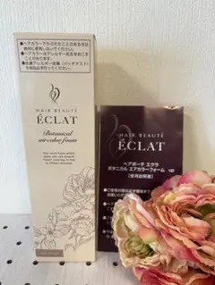 ECLAT ボタニカルエアカラーフォーム ライトブラウン 150g