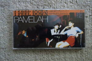 美品・廃盤8㎝CDシングル57： PAMELAH　I FEEL DOWN　専用プラスチックケース付　