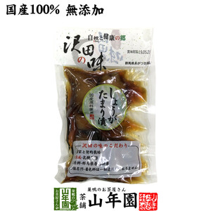 沢田の味 しょうが たまり漬 100g 送料無料