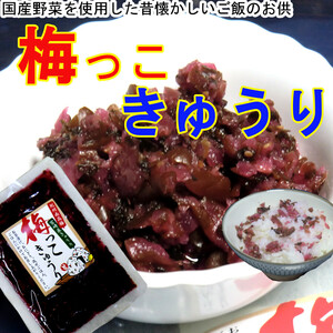 宮崎の漬物 梅っこきゅうり 130g×1袋 南高梅 カリカリ梅 宮崎県産 きゅうり ご飯のお供に おにぎりの具材に お茶漬けに 食欲増進 送料無料