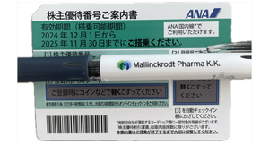 ANA優待券　2024年12月1日から2025年11月30日まで1枚