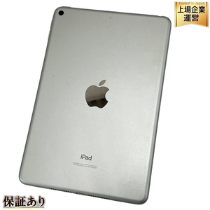 Apple iPad mini 第5世代 MUQX2J/A タブレット 64GB 7.9インチ Wi-Fiモデル 中古 T9569429