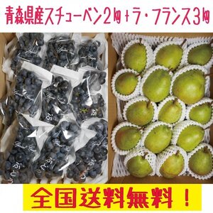 青森県産　洋梨ラ・フランス8-15玉程度　３kg+ぶどう：スチューベン6-12房２ｋｇ　送料無料！