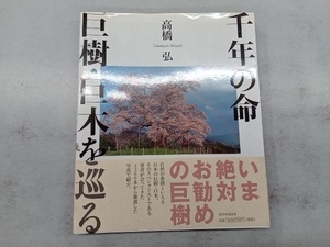 千年の命 巨樹・巨木を巡る 高橋弘