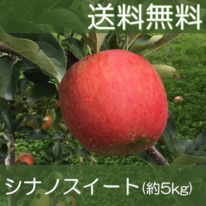 ▲送料無料▲ 福島産りんご シナノスイート 約5kg(25)