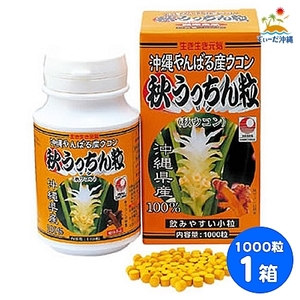 【送料込 レターパックプラス】うっちん沖縄 秋ウコン 秋うっちん粒 1000粒 1箱