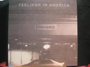 Pete Swanson-Feelings In America ◆E347NO◆