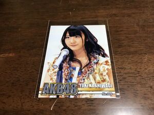 AKB48　ブロマイド写真　柏木由紀　No,009