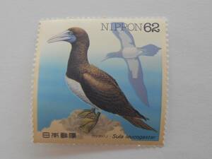 水辺の鳥シリーズ第1集　カツオドリ　未使用62円切手（655）