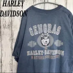 【人気】ハーレーダビッドソントップスTシャツ 2XL 青 犬 背面プリント