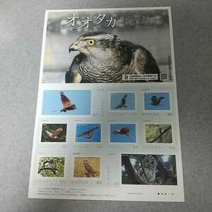 フレーム切手◆『オオタカ 東京に生きるハンターたち』◆5000部限定