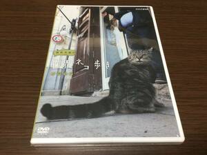 ◇セル版 未開封◇岩合光昭の世界ネコ歩き シチリア DVD 国内正規品 NHK 新品 未開封 即決