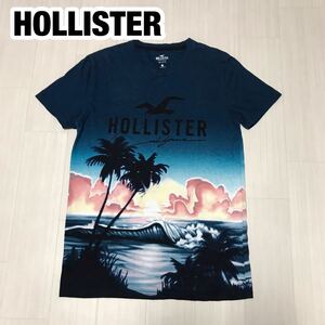 HOLLISTER ホリスター 半袖Tシャツ XS ビーチ