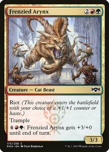 MTG ■金/英語版■ 《激情のエイリンクス/Frenzied Arynx》★FOIL★ ラヴニカの献身 RNA