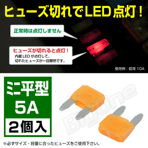 BigOne 切れたら光って知らせる インジケーター内蔵 2個セット ミニ平型 ヒューズ 5A ASP LED