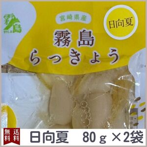 霧島らっきょう 80g 2袋 国産 九州 宮崎県 都城産 霧島 日向夏味 らっきょう 漬物 漬け物