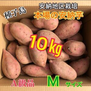 種子島　農家直送！安納地区の安納芋　M 10キロ　A級品