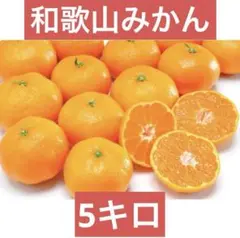 【希少/残1】完熟和歌山蔵出しみかん　良　サイズ混合5キロ