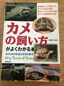 カメの飼い方がよくわかる本