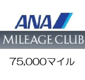 【即決 匿名】全日空ANA75,000マイル　希望の口座へ加算