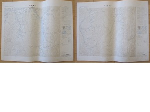 2.5万分の1地形図 信濃溝口/市野瀬(長野県) 昭和50年測量版 計2枚