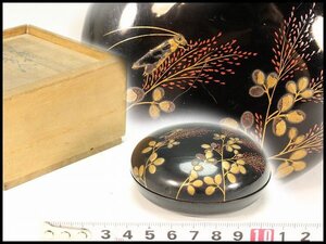 【金閣】極上 漆器 青貝貼 秋草虫蒔絵 香合 時代箱 旧家蔵出 送料無料(MB879)