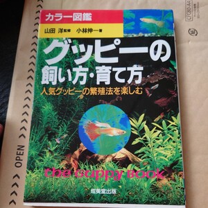 グッピーの飼い方・育て方　人気グッピーの繁殖法を楽しむ　カラー図鑑 （カラー図鑑） 小林伸一／著