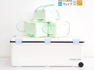 伸和 ホリデー ランド クーラー HOLIDAY LAND LEISURE COOLER 発泡容器付属