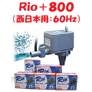 カミハタ Ｒｉｏ＋８００ (西日本用：６０Ｈｚ) リオプラス 水中ポンプ 水槽用