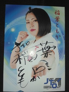 女子プロレス JTO スターダム　稲葉ともか　 直筆サイン入りポートレート 