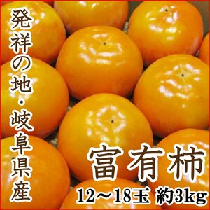 【Good】発祥の地・岐阜産『富有柿』12～18玉 約3kg ご予約