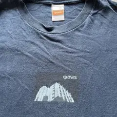 gravis USA製　tシャツ  希少　old