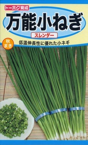 万能小ネギ 薬味ねぎ 種子 野菜のたね 家庭菜園